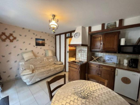 Rez-de-jardin avec accès direct à la plage, terrasse ensoleillée, idéal pour 3 personnes - FR-1-465-115